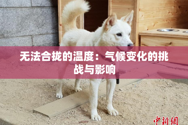 无法合拢的温度：气候变化的挑战与影响