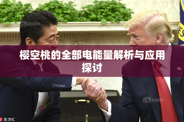 樱空桃的全部电能量解析与应用探讨