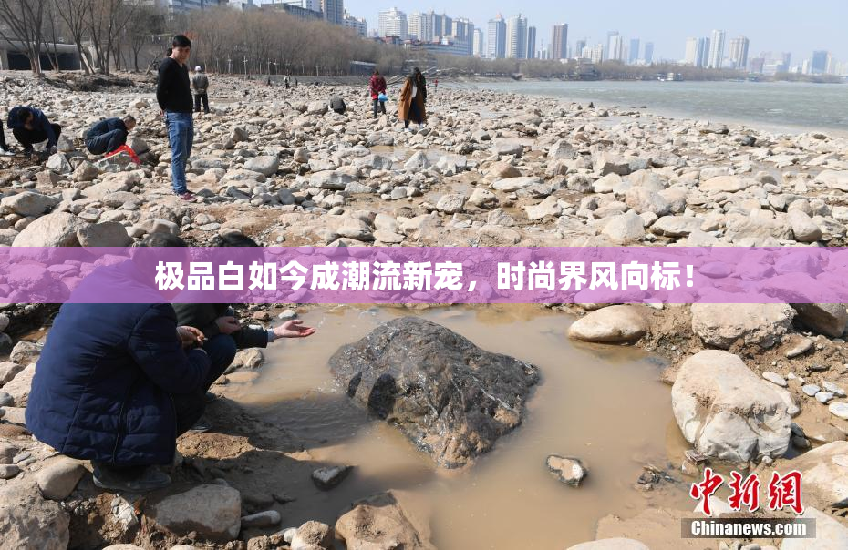 极品白如今成潮流新宠，时尚界风向标！