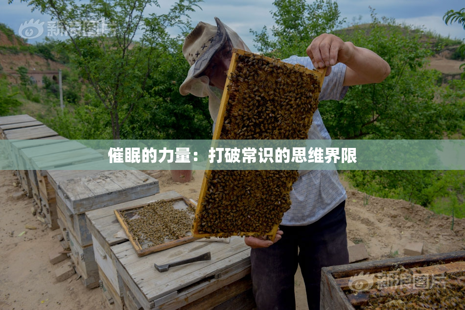 催眠的力量：打破常识的思维界限