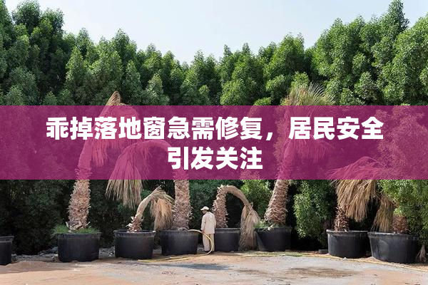 乖掉落地窗急需修复，居民安全引发关注