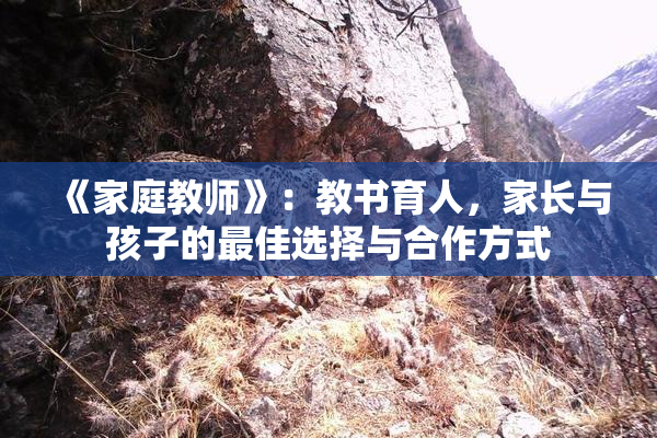 《家庭教师》：教书育人，家长与孩子的最佳选择与合作方式