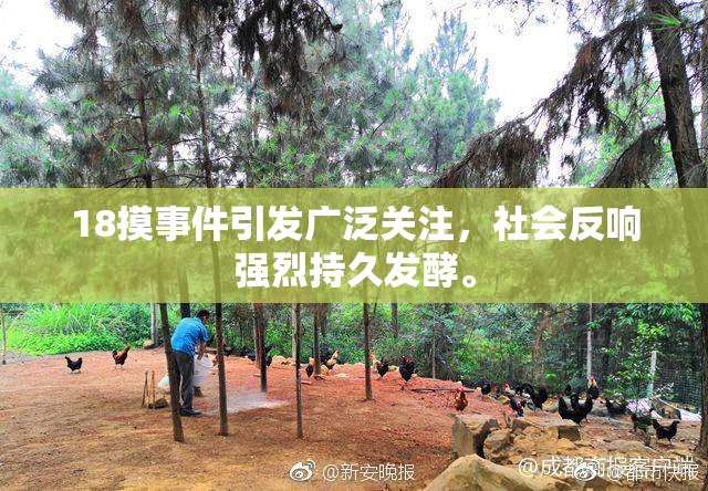 18摸事件引发广泛关注，社会反响强烈持久发酵。