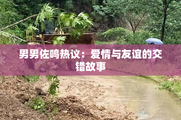 男男佐鸣热议：爱情与友谊的交错故事