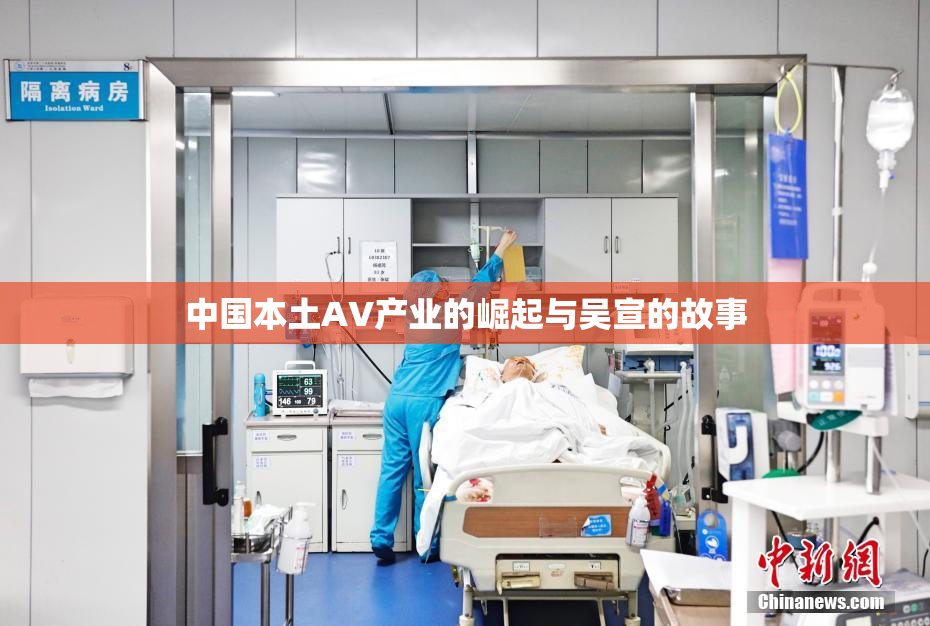 中国本土AV产业的崛起与吴宣的故事