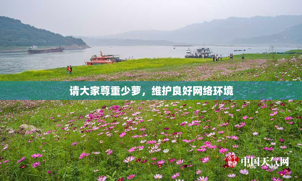 请大家尊重少萝，维护良好网络环境