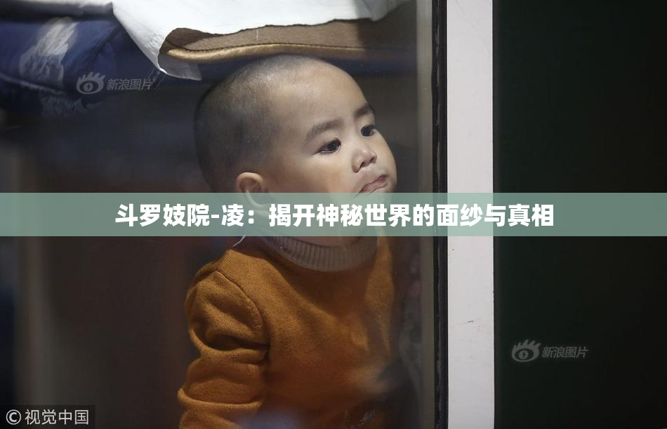 斗罗妓院-凌：揭开神秘世界的面纱与真相