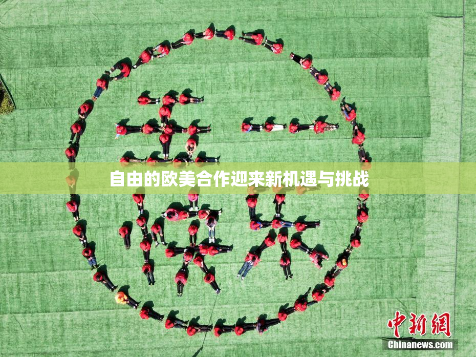 自由的欧美合作迎来新机遇与挑战