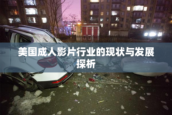 美国成人影片行业的现状与发展探析