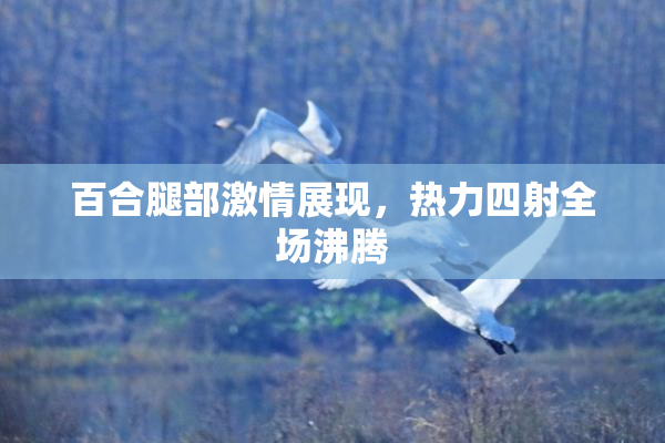 百合腿部激情展现，热力四射全场沸腾