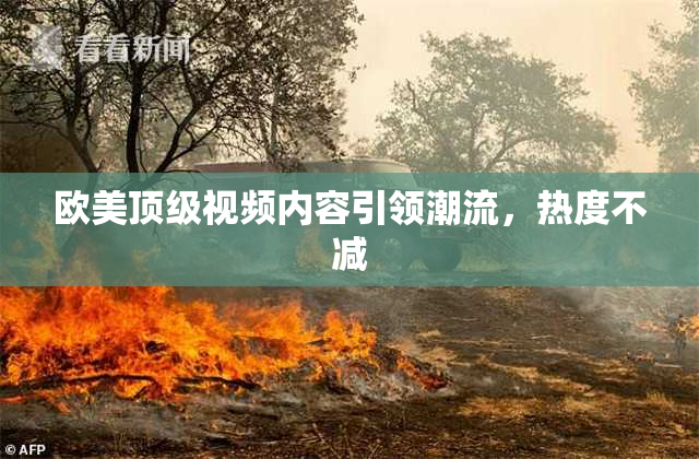 欧美顶级视频内容引领潮流，热度不减