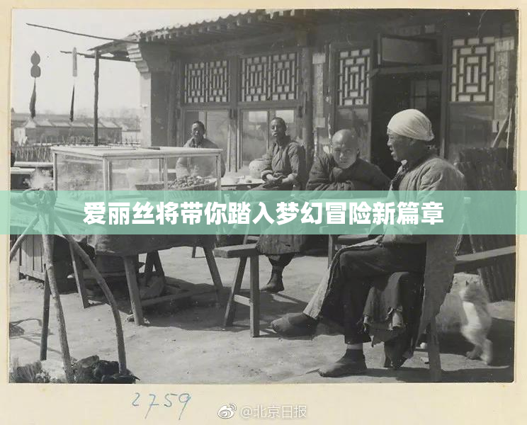 爱丽丝将带你踏入梦幻冒险新篇章