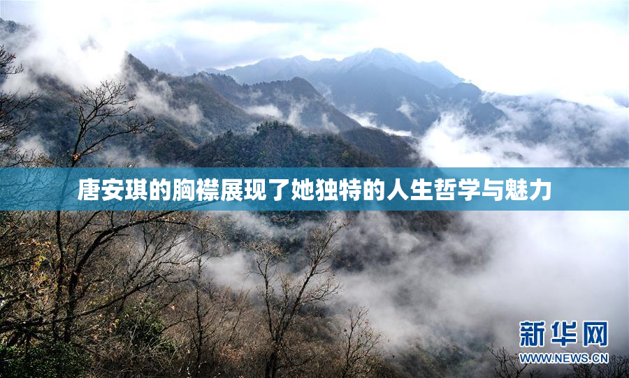 唐安琪的胸襟展现了她独特的人生哲学与魅力