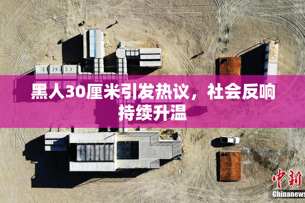 黑人30厘米引发热议，社会反响持续升温