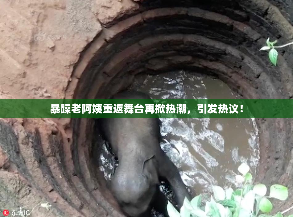 暴躁老阿姨重返舞台再掀热潮，引发热议！