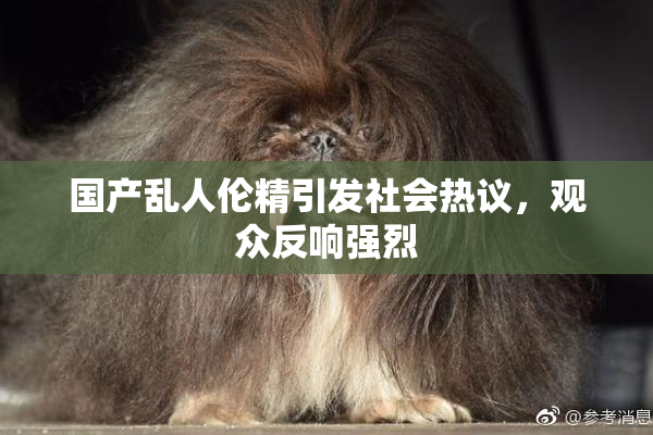 国产乱人伦精引发社会热议，观众反响强烈