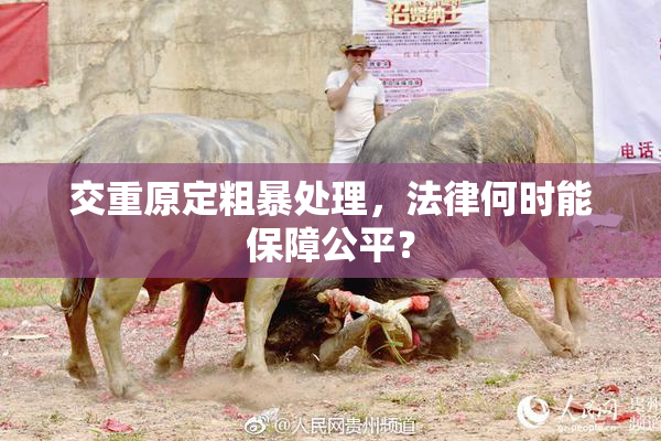 交重原定粗暴处理，法律何时能保障公平？