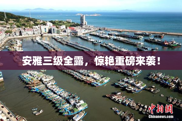 安雅三级全露，惊艳重磅来袭！