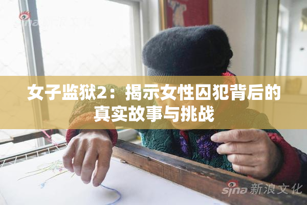 女子监狱2：揭示女性囚犯背后的真实故事与挑战