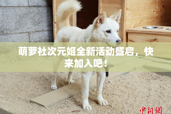 萌萝社次元姬全新活动盛启，快来加入吧！
