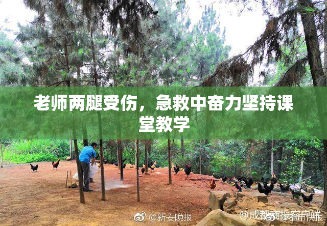 老师两腿受伤，急救中奋力坚持课堂教学