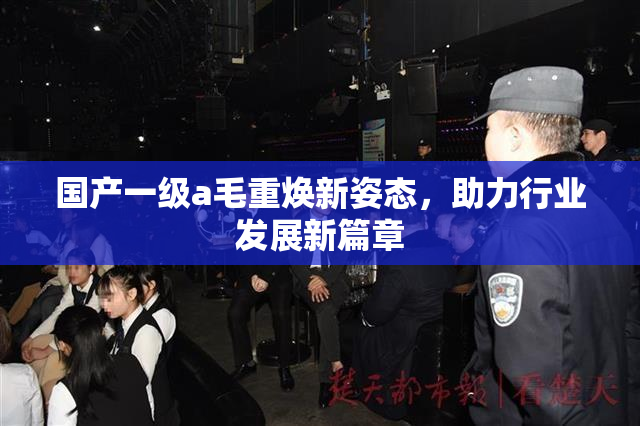 国产一级a毛重焕新姿态，助力行业发展新篇章