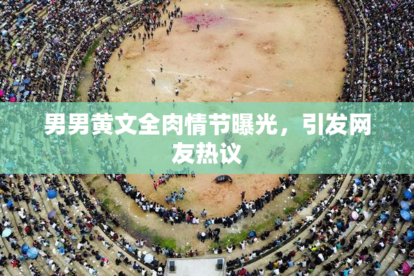 男男黄文全肉情节曝光，引发网友热议