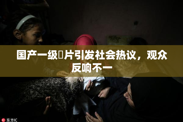 国产一级婬片引发社会热议，观众反响不一