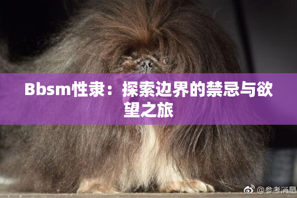 Bbsm性隶：探索边界的禁忌与欲望之旅
