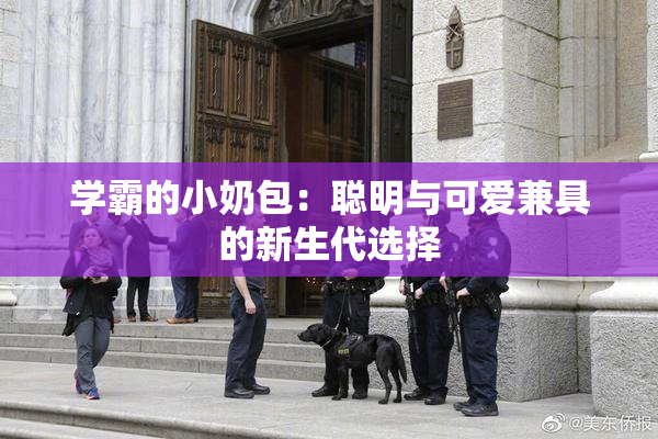 学霸的小奶包：聪明与可爱兼具的新生代选择