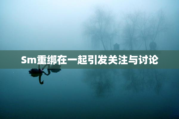 Sm重绑在一起引发关注与讨论