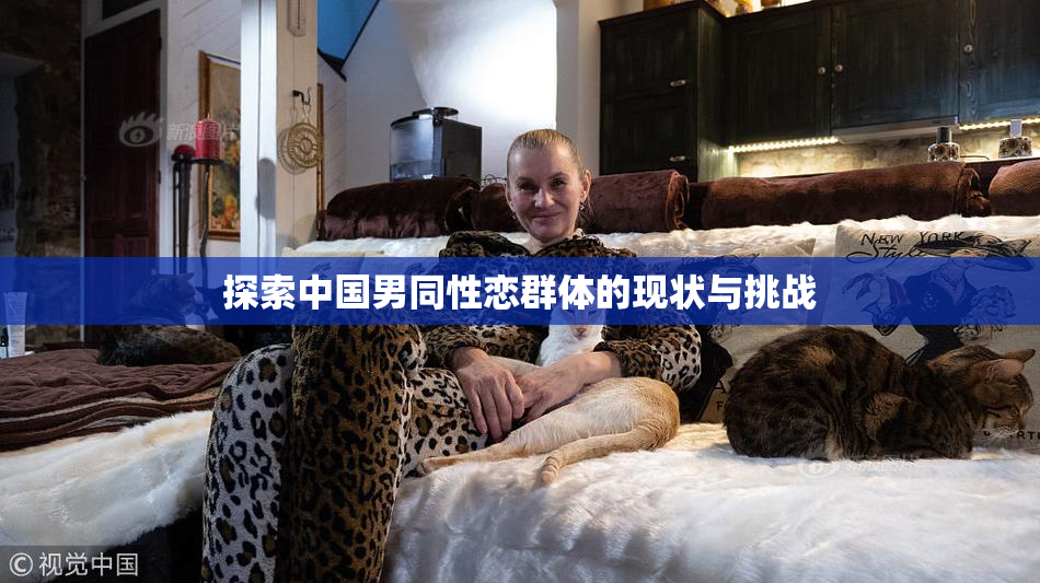 探索中国男同性恋群体的现状与挑战