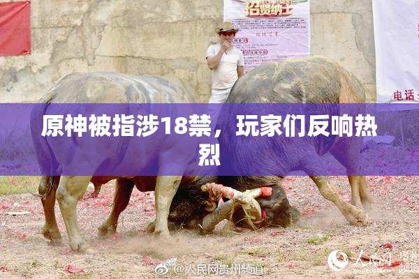 原神被指涉18禁，玩家们反响热烈