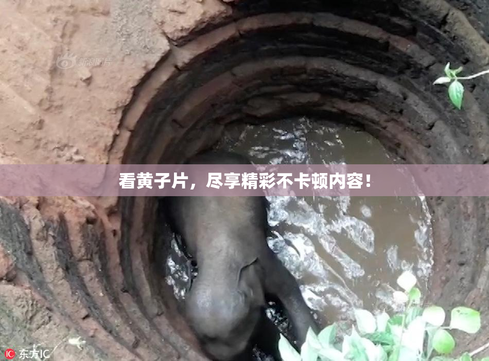 看黄子片，尽享精彩不卡顿内容！