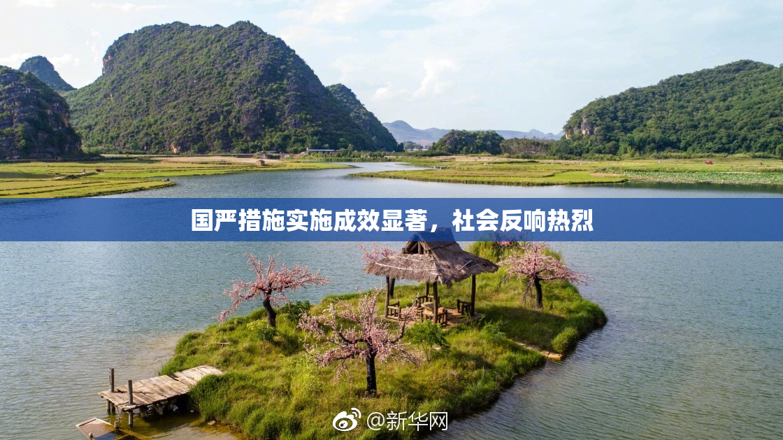 国严措施实施成效显著，社会反响热烈
