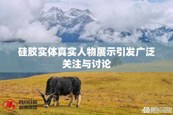 硅胶实体真实人物展示引发广泛关注与讨论