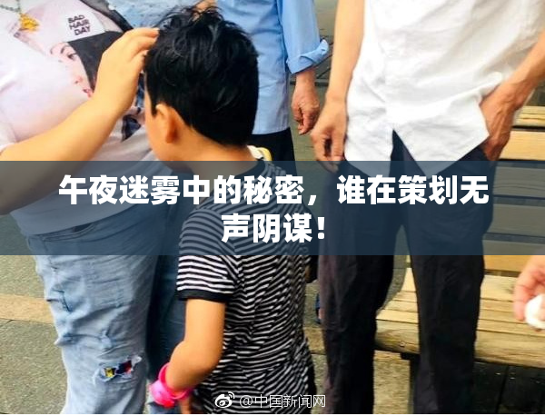 午夜迷雾中的秘密，谁在策划无声阴谋！