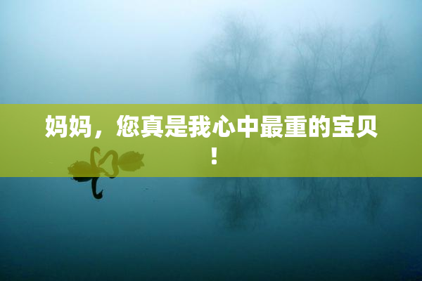 妈妈，您真是我心中最重的宝贝！
