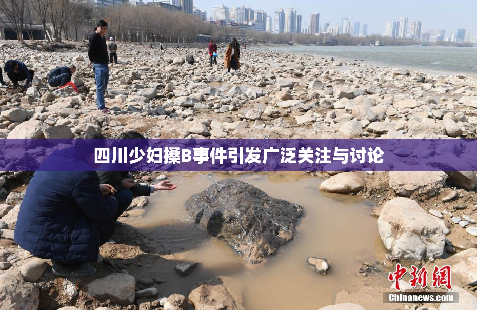 四川少妇搡B事件引发广泛关注与讨论