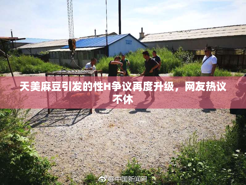 天美麻豆引发的性H争议再度升级，网友热议不休