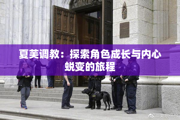 夏芙调教：探索角色成长与内心蜕变的旅程