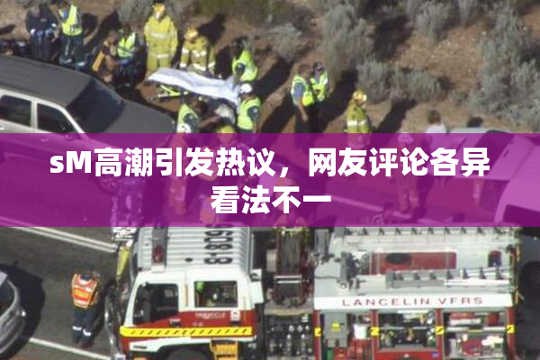 sM高潮引发热议，网友评论各异看法不一