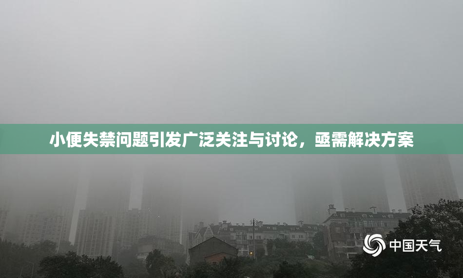 小便失禁问题引发广泛关注与讨论，亟需解决方案