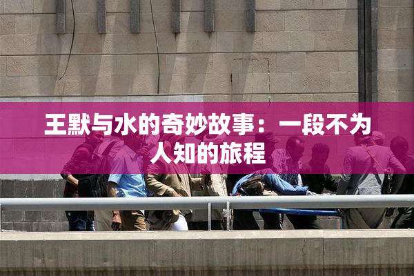 王默与水的奇妙故事：一段不为人知的旅程