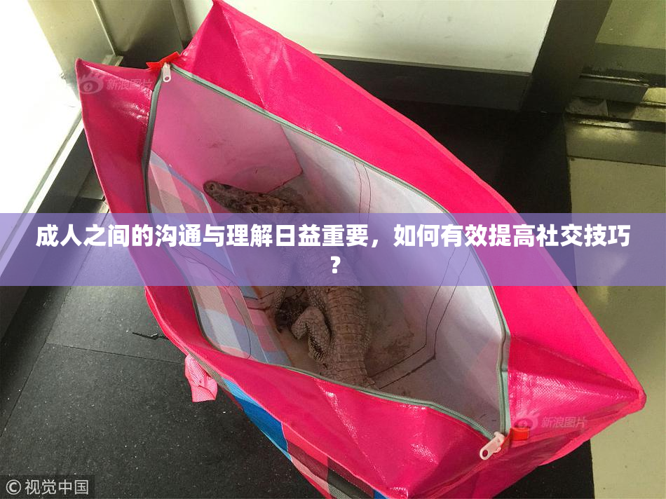 成人之间的沟通与理解日益重要，如何有效提高社交技巧？