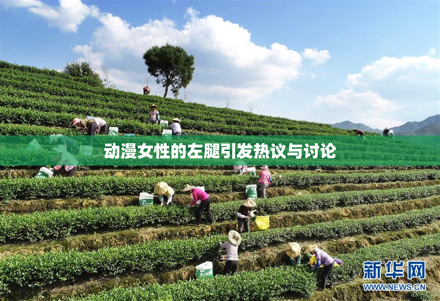 动漫女性的左腿引发热议与讨论