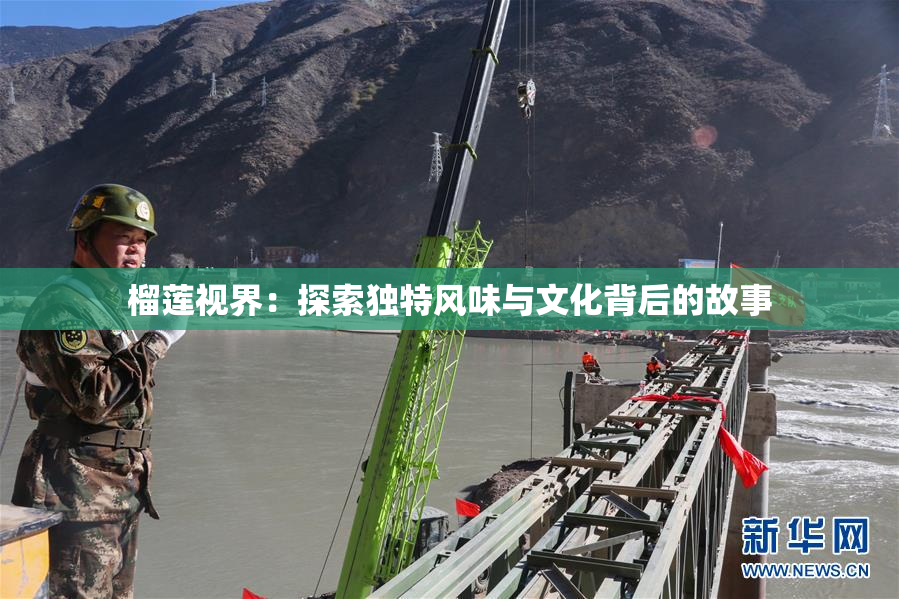 榴莲视界：探索独特风味与文化背后的故事