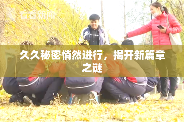 久久秘密悄然进行，揭开新篇章之谜