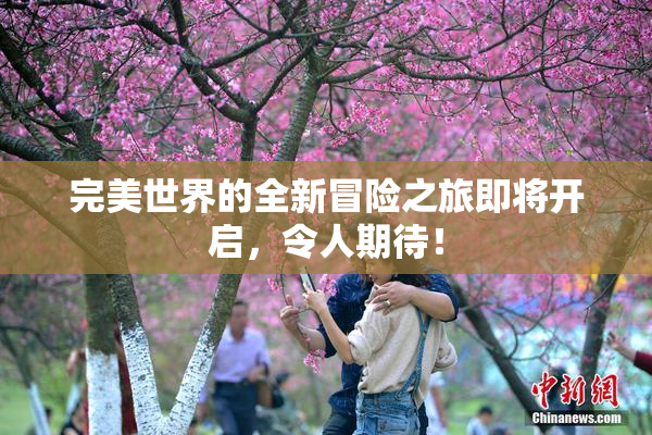 完美世界的全新冒险之旅即将开启，令人期待！