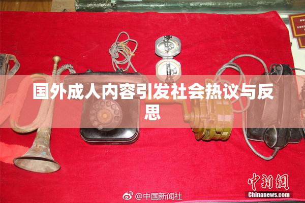 国外成人内容引发社会热议与反思